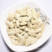 New arrival Inner Mongolia pumpkin seeds for eating